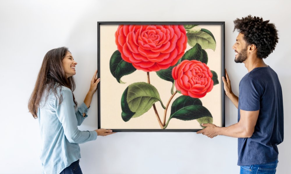 Ambroise Alexandre Verschaffelt