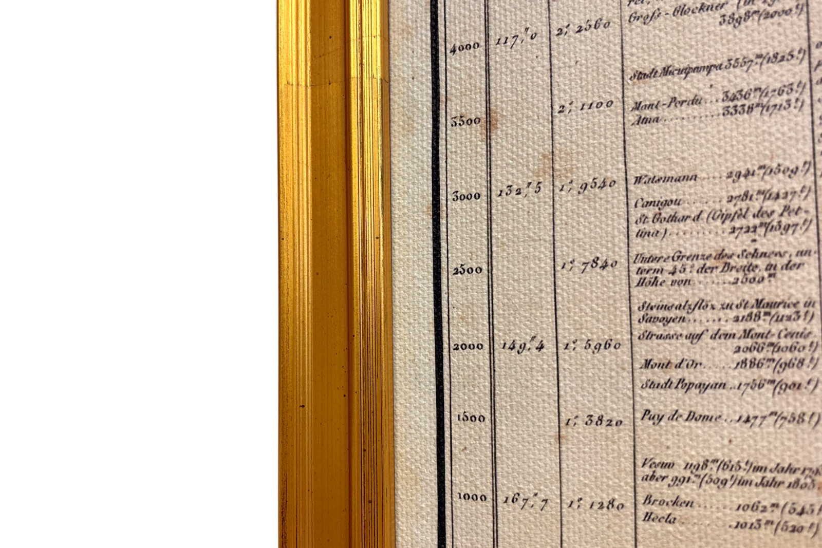 Geografie der Pflanzen in tropischen Ländern, eine Studie der Anden, gezeichnet von Schoenberger und Turpin, gedruckt von Langlois, Paris - Baron Friedrich Alexander von Humboldt