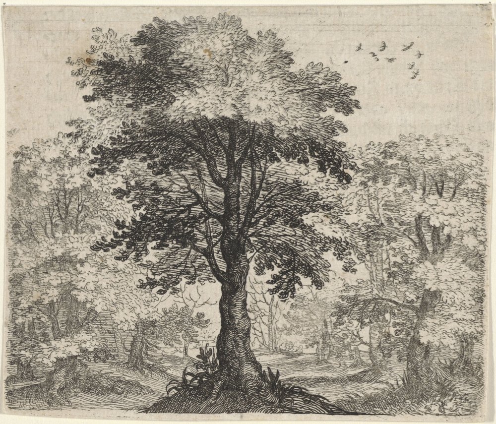 Fabel von der Ulme und der Eiche von Egidius  Sadeler (II)