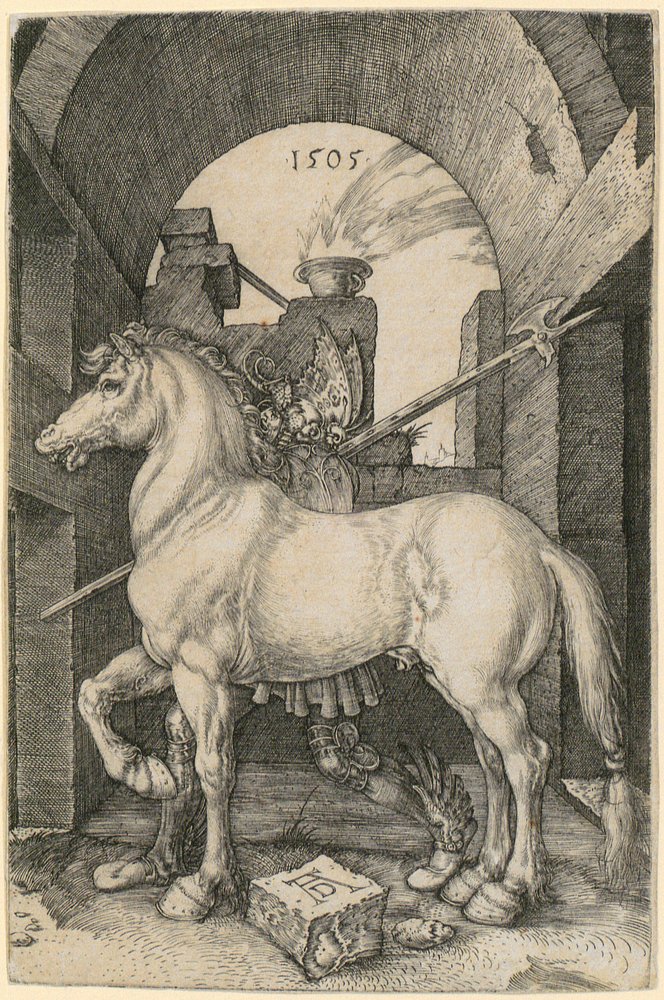 Kleines Pferd von Albrecht Dürer