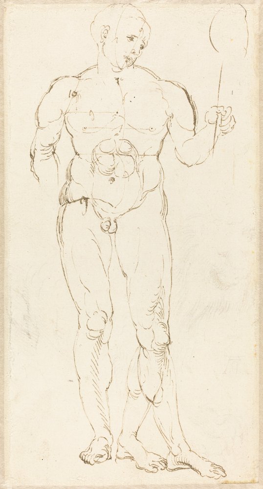 Männlicher Akt, der einen Spiegel hält [recto] von Albrecht Dürer