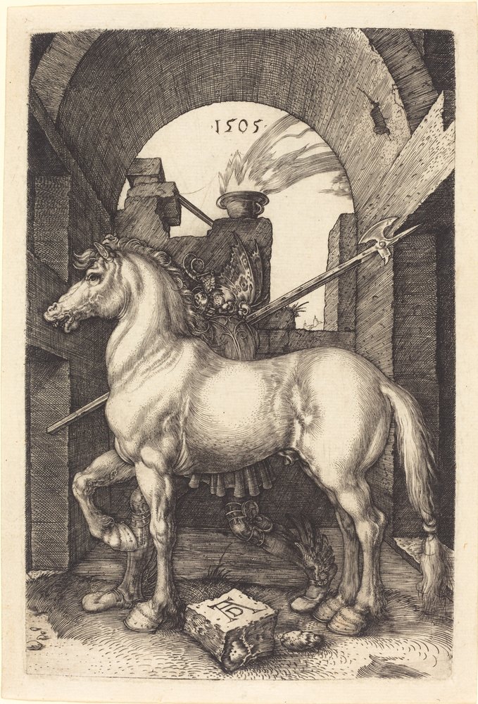 Kleines Pferd von Albrecht Dürer