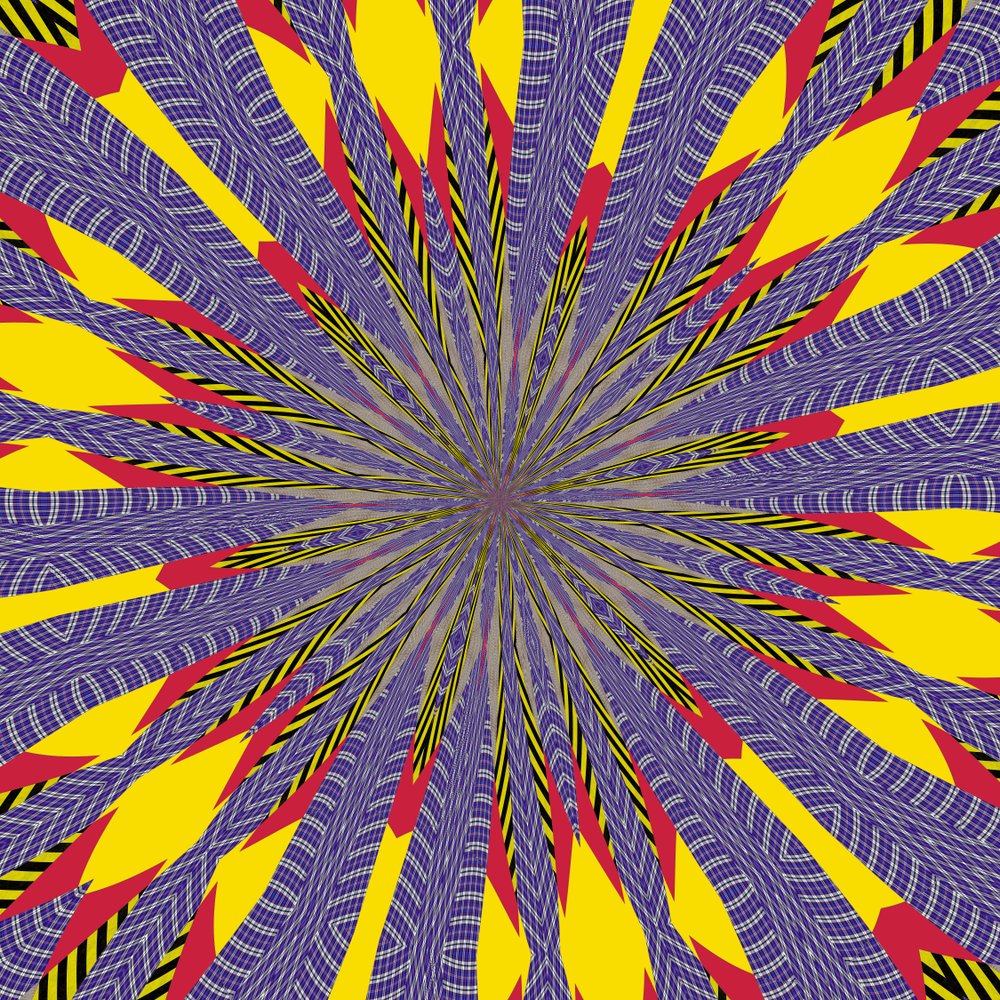 Sonnenblume von Alex Caminker