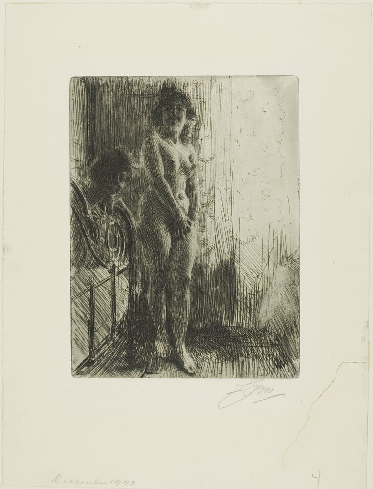 Eine dunkle Ecke von Anders Leonard Zorn