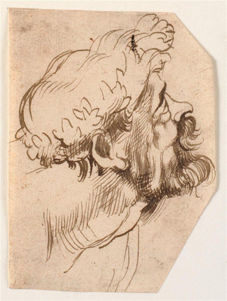 Kopf eines Mannes von Anthony van Dyck