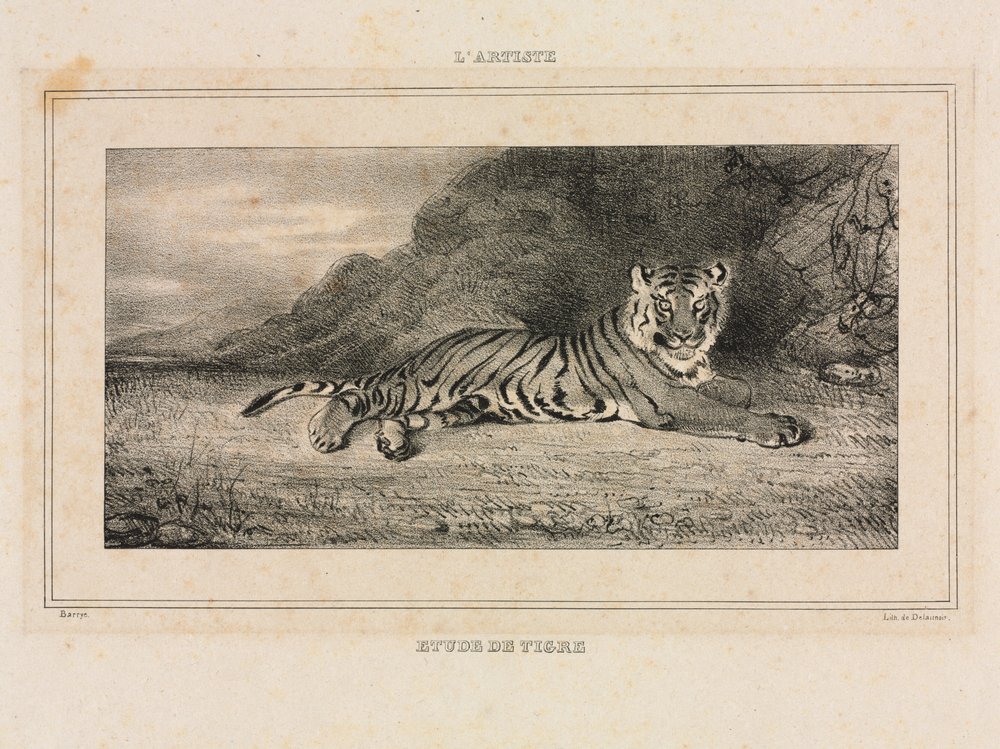 Studie eines Tigers, 1832. von Antoine Louis Barye