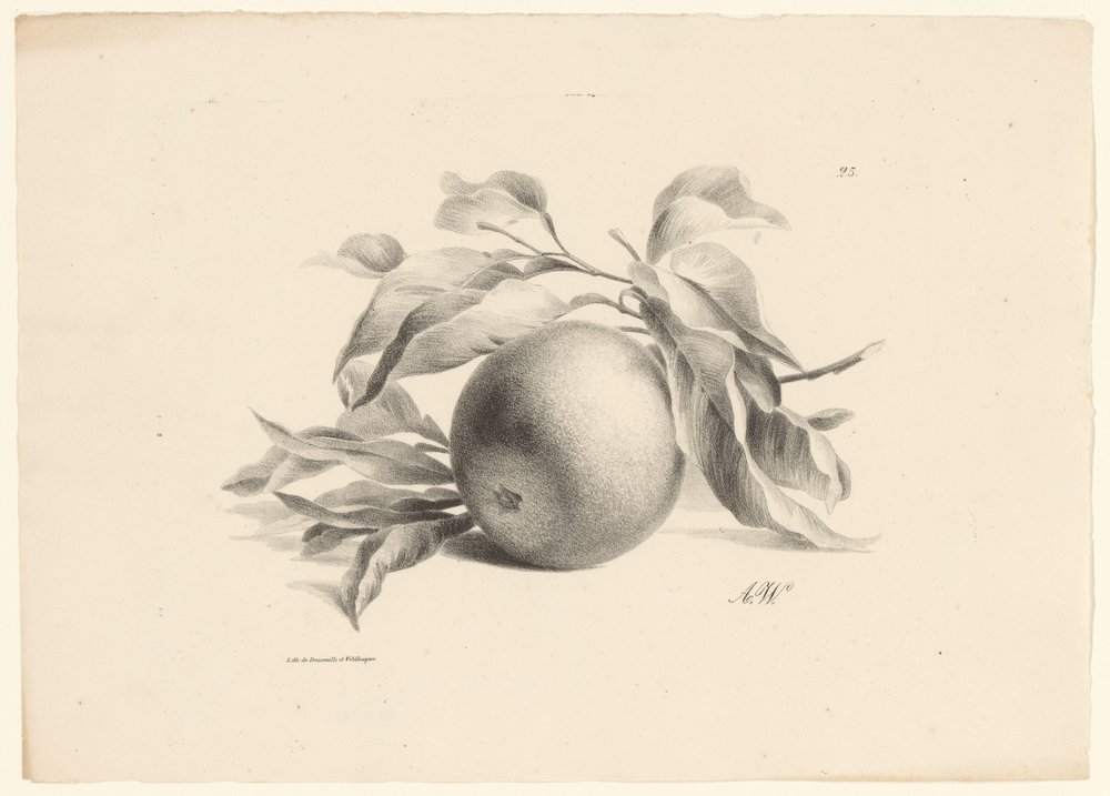 Orange von Anton Weiss