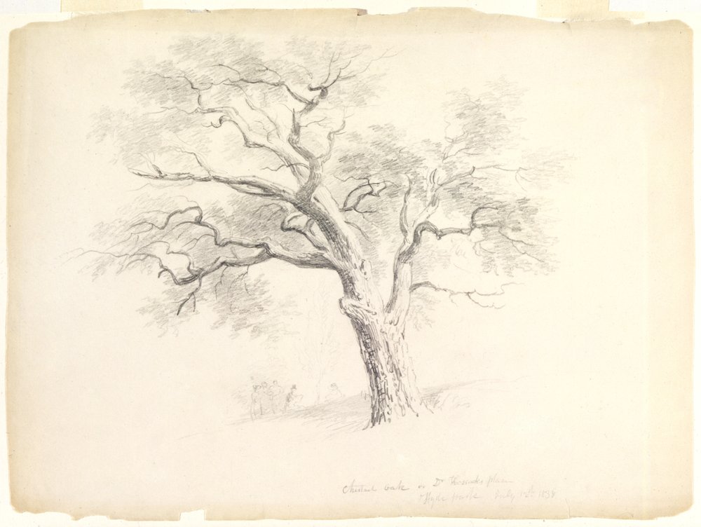 Die Kastanieneiche auf dem Hosack-Anwesen, Hyde Park, New York mit fünf Figuren und einem Künstler beim Skizzieren, 1838 von Asher Brown Durand