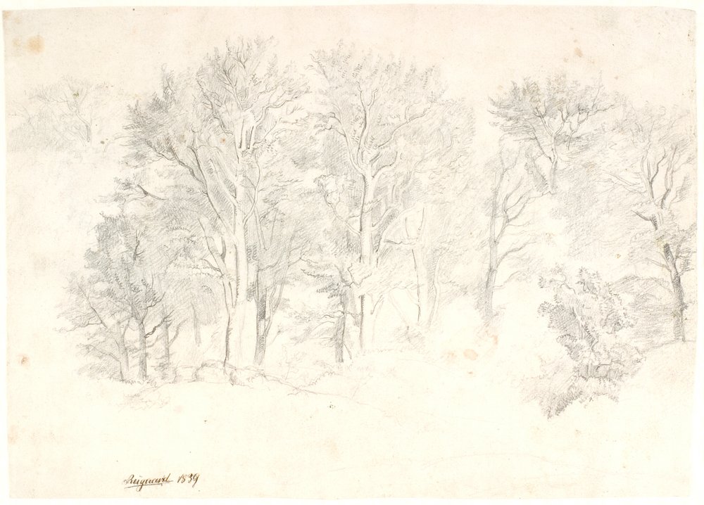 Studie von Bäumen von Dankvart Dreyer