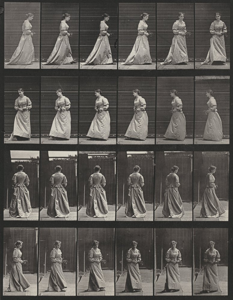 Tafel Nummer 48. Gehen und Wenden mit einem Blumenstrauß in beiden Händen von Eadweard Muybridge