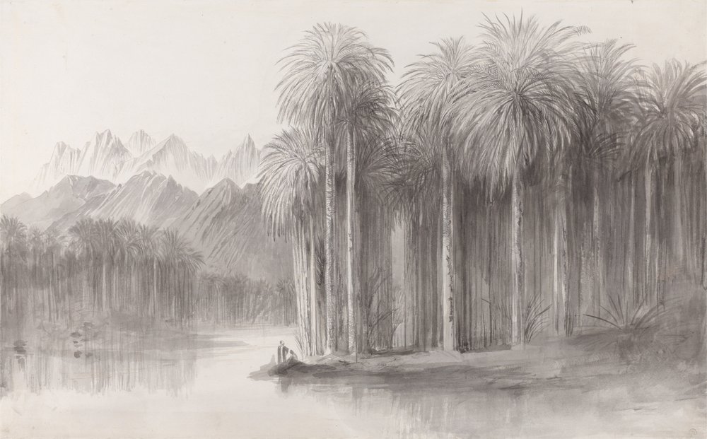 Wady Feiran, Halbinsel des Berges Sinai von Edward Lear