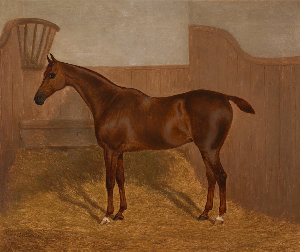 Pferdeporträt (Lady Oswestry oder Dandy, eines von zwei in einem Los angebotenen Gemälden mit diesen Bezeichnungen) von F. Clifton