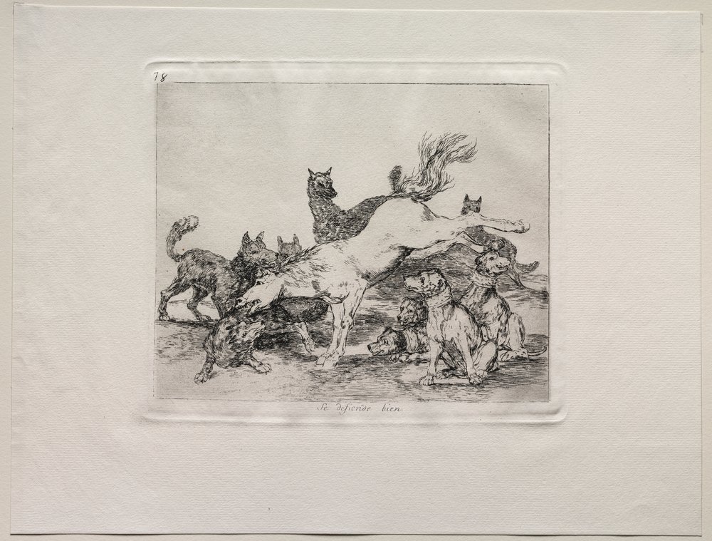 Die Schrecken des Krieges: Er verteidigt sich gut von Francisco de Goya