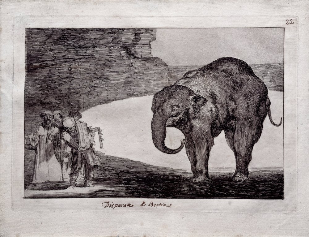 Tierische Torheit von Francisco de Goya