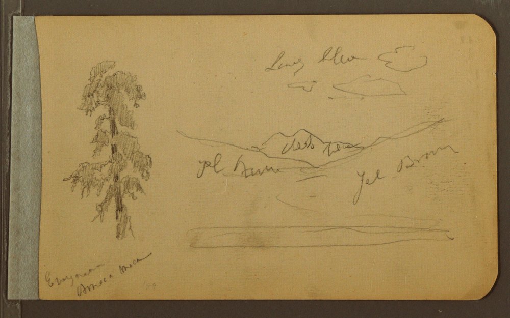 Baum, Berge, 1889 von Frederic Edwin Church