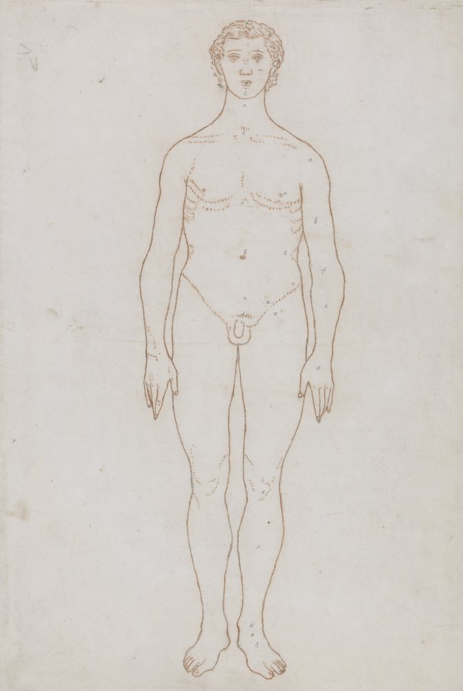 Studie der menschlichen Figur, Vorderansicht, aus 
