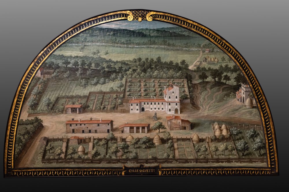 Die Medici-Villa von Collesalvetti von Giusto Utens