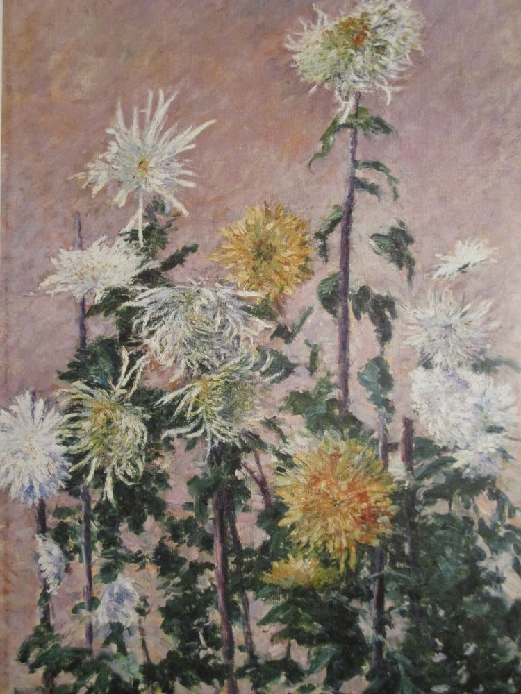 Weiße und gelbe Chrysanthemen von Gustave Caillebotte
