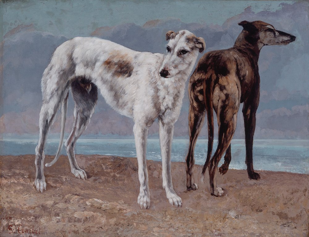 Die Windhunde des Comte de Choiseul von Gustave Courbet