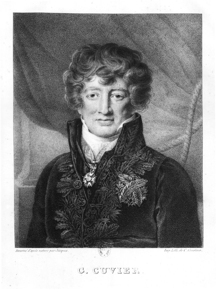 Porträt von Georges Cuvier (1769-1832) von Jacques