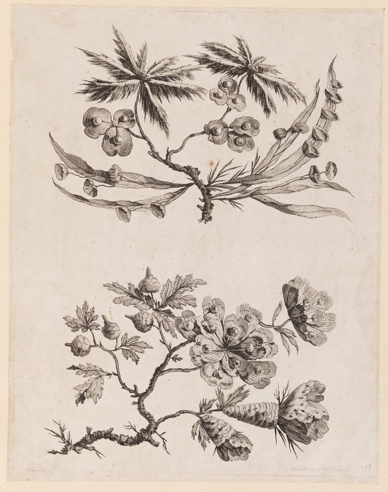 Blumenzweige aus "Recueil de Fleurs Chinois" von Jean Baptiste Pillement