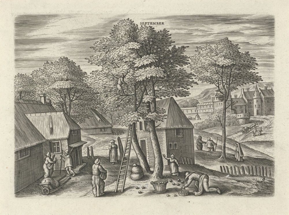 September von Julius Goltzius