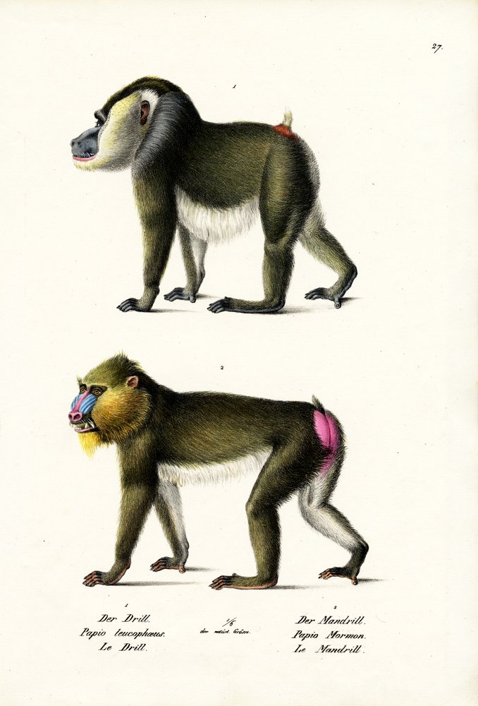 Übung, 1824 von Karl Joseph Brodtmann