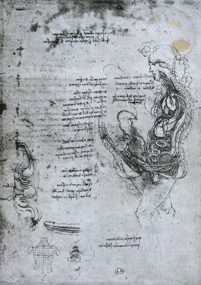 Koitus eines halbierten Mannes und einer halbierten Frau, Faksimilekopie von Leonardo da Vinci