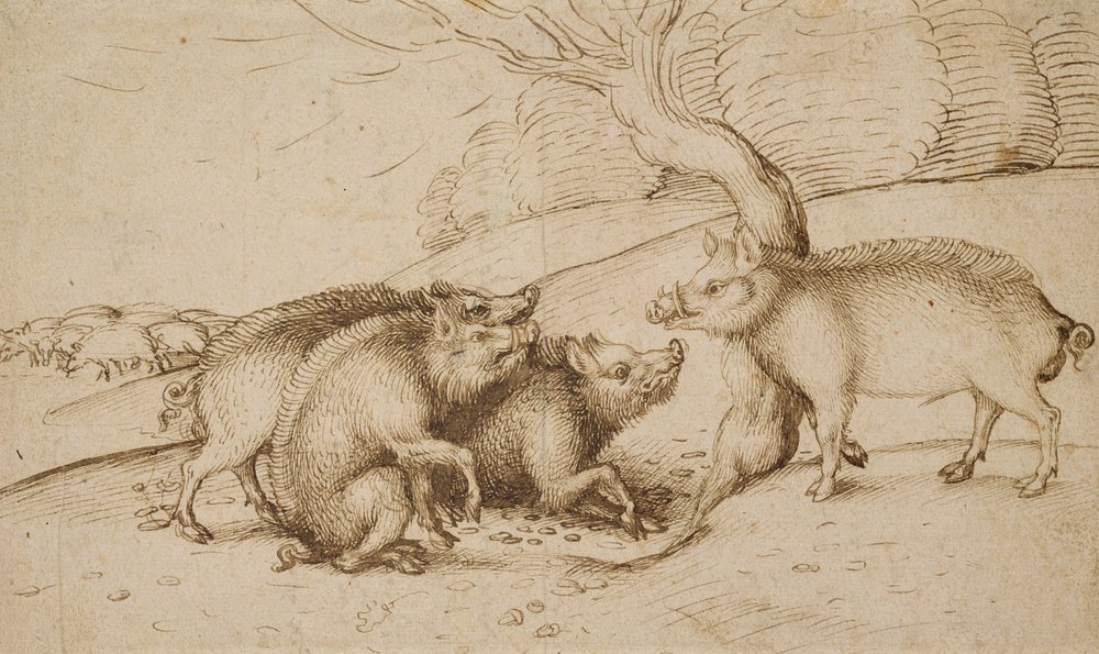 Die Wildschweinfamilie von Martin Schongauer