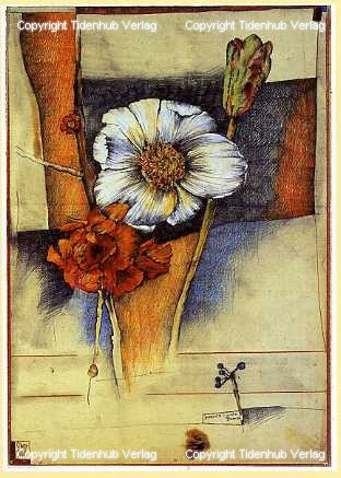 ...wieder Blumen von Ole West