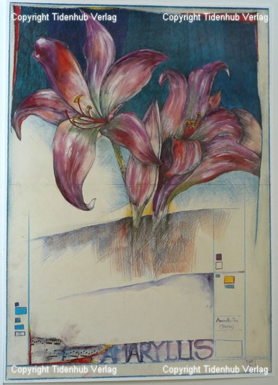 Amaryllis von Ole West