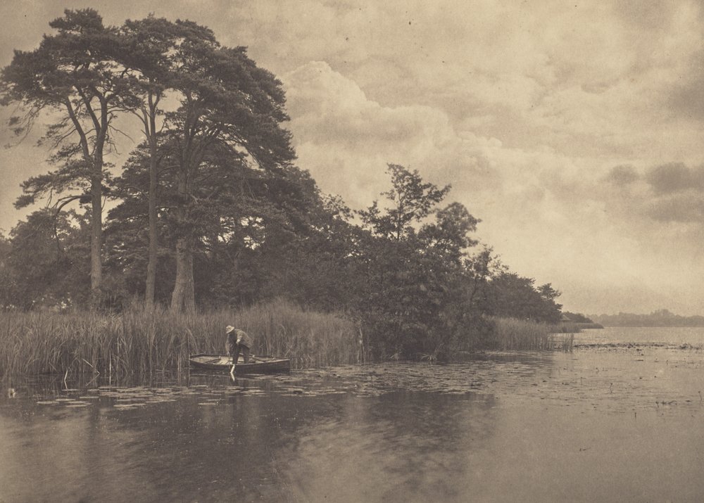 Das Revier des Hechts von Peter Henry Emerson