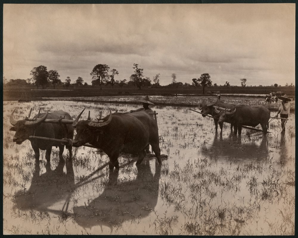 Landarbeit, ca. 1880 von Philip Adolphe Klier