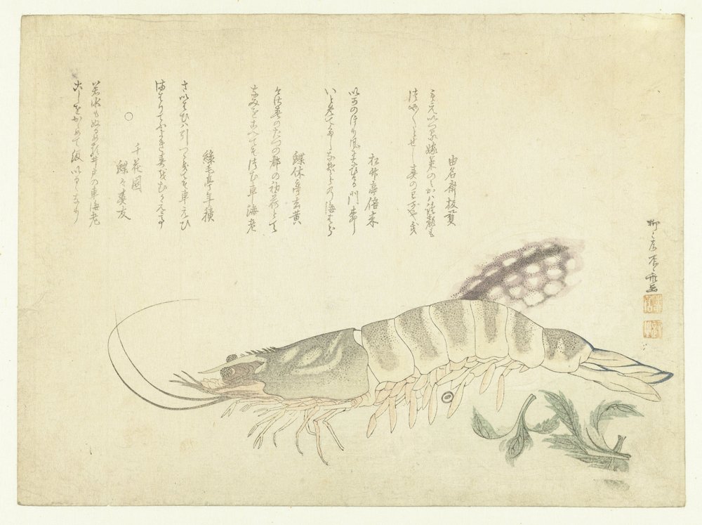 Krebs und Tintenfisch von Ryuryukyo Shinsai