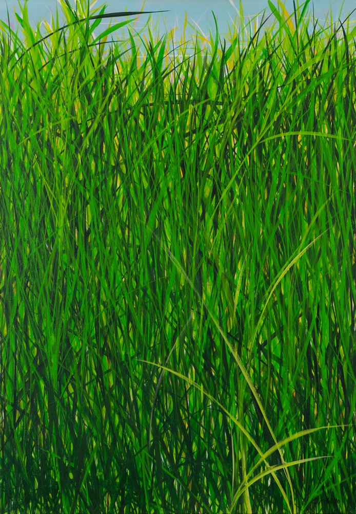 Sommergras, 2020 von Sandy Iseli