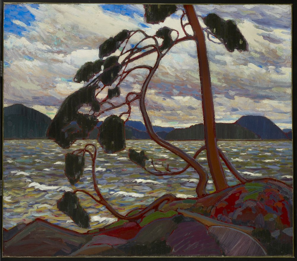 Der Westwind, Winter 1916-17 von Tom Thomson