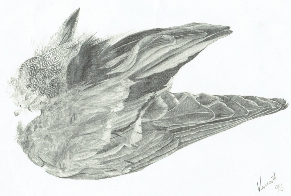 Flügel von Vincent Alexander Booth