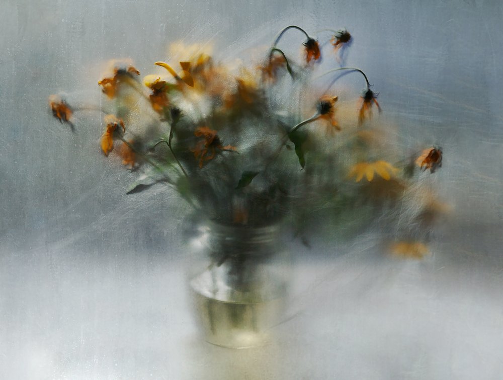 Träumerische Verblassende Blumen von Ala Pneuma