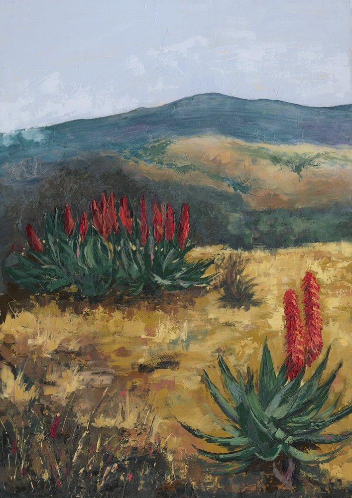 Rote Aloe-Wüstenhügel von Alex Cornell