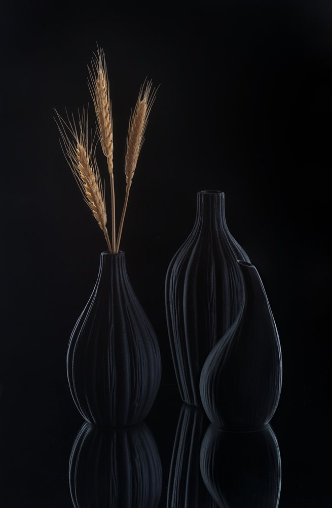 Elegantes Dunkles Stillleben von Alice Sheng