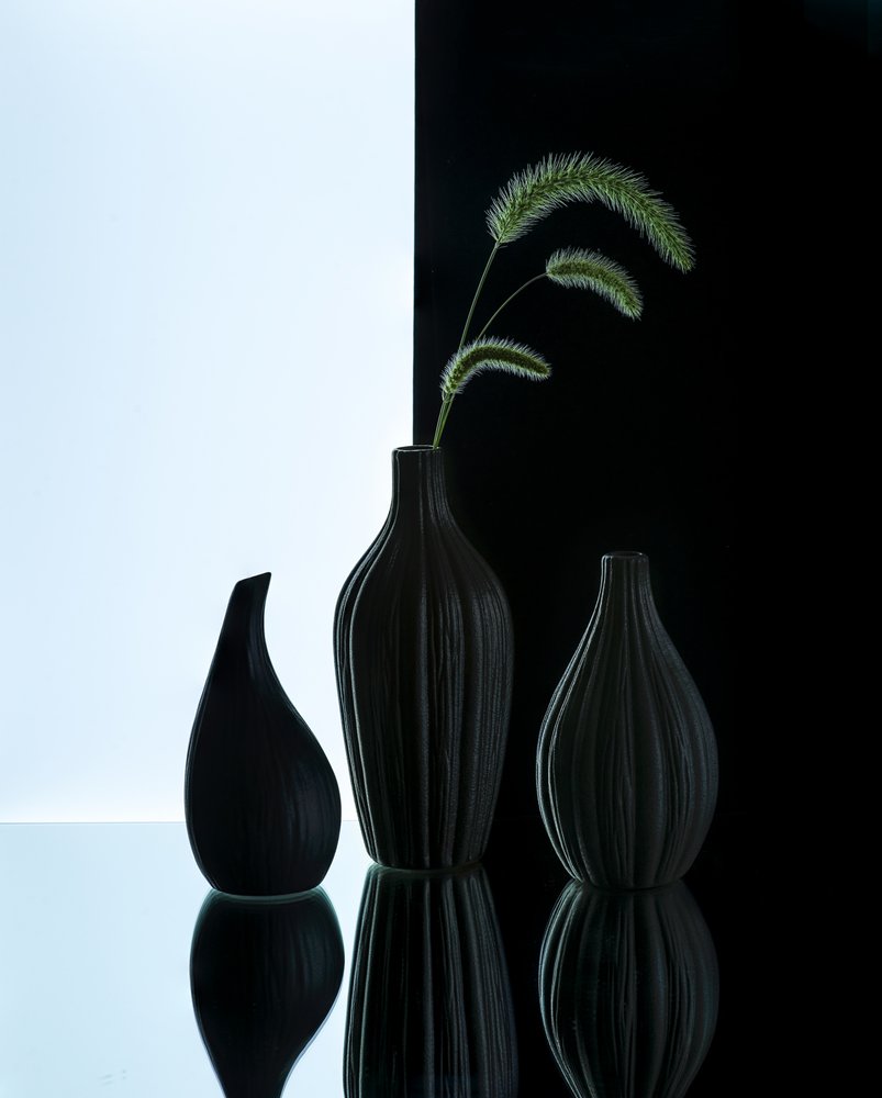 Elegante Vasen mit Gras von Alice Sheng