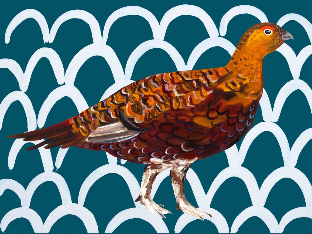 Rotes Moorhuhn-Teal-Muster von Alice Straker