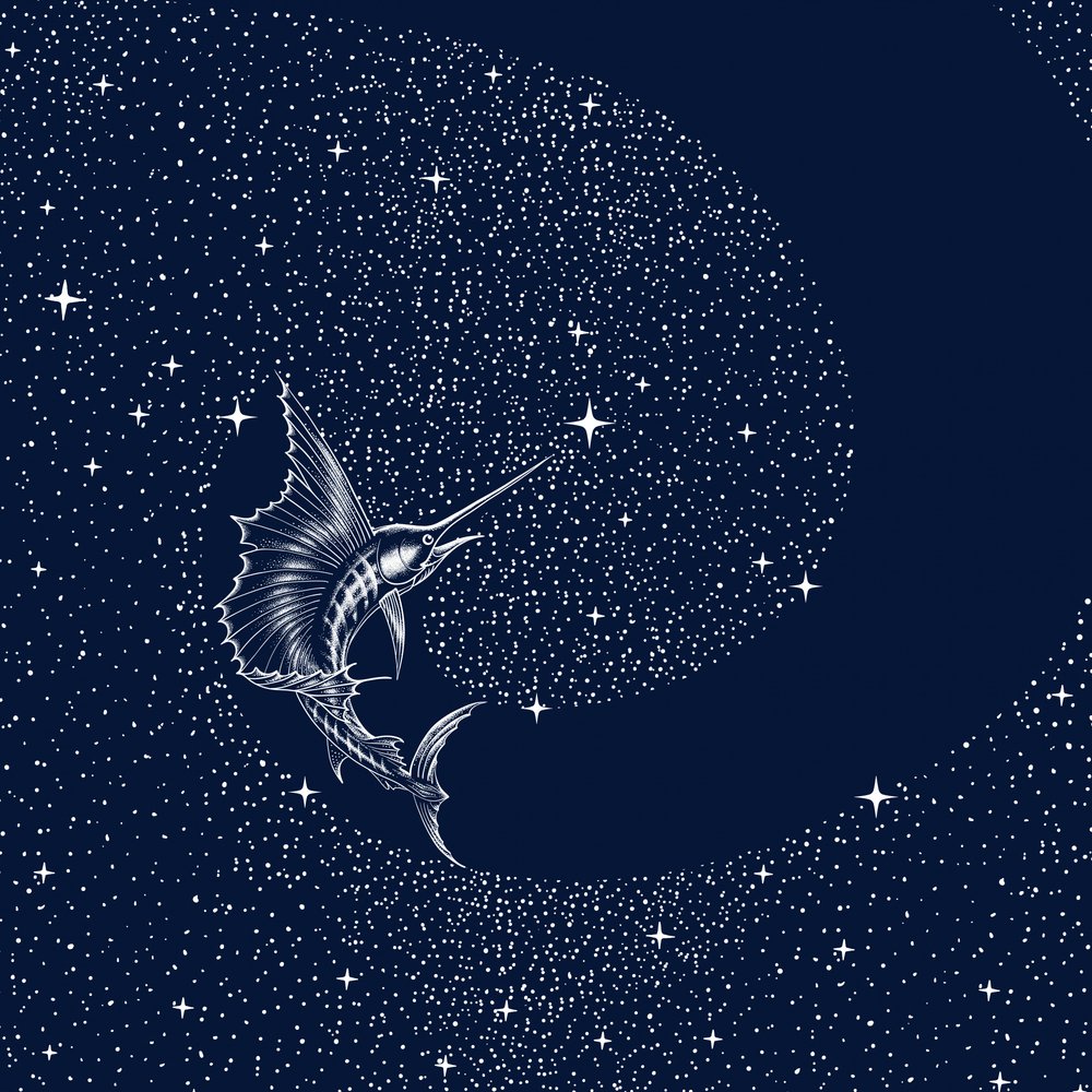 Himmlischer Fächerfisch von Alirıza ÇAKIR