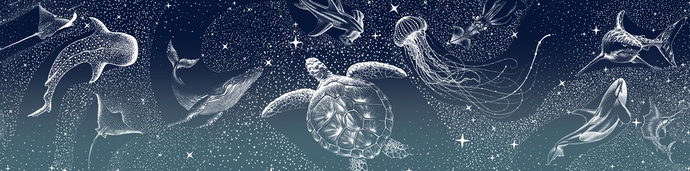 Himmlische Meerestiere von Alirıza ÇAKIR