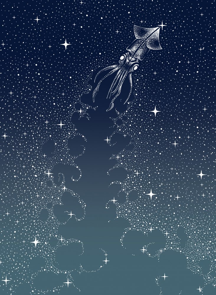 Himmlischer Tintenfischaufstieg von Alirıza ÇAKIR