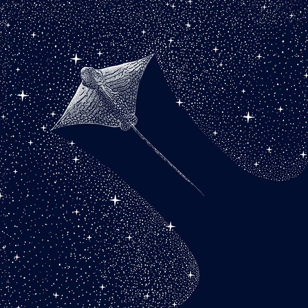 Kosmischer Adlerrochen von Alirıza ÇAKIR