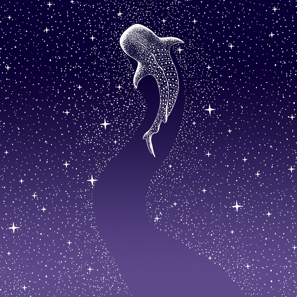 Sternenfresser Dunkelblau bis Lila Verlauf von Alirıza ÇAKIR