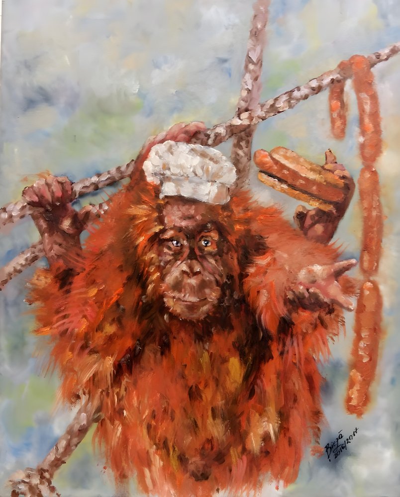 Lustiger Orang-Utan Koch von Anda Bieza