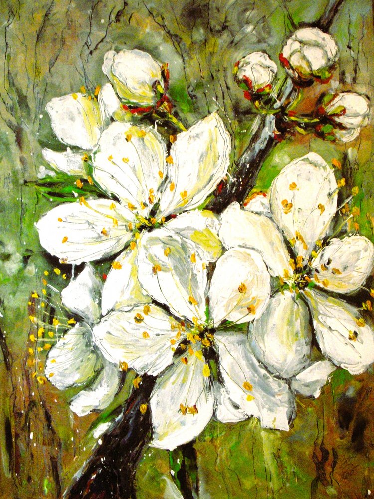 Weiße Frühlingsblüten von Anda Bieza
