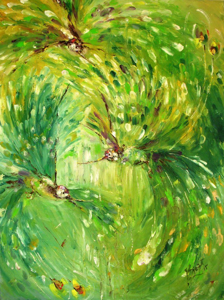 Lebendige grüne Kolibris von Anda Bieza